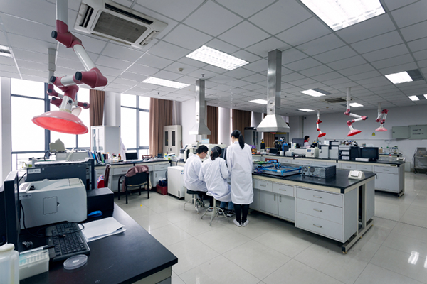 The development of 100% BIO-DEVELOPMENT BAG in Zhoushi